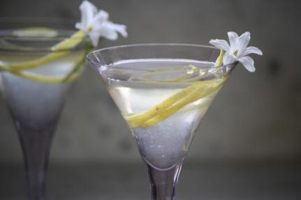 martini koktejly recepty