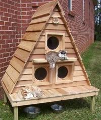 како направити кућу за мачку то урадити сами