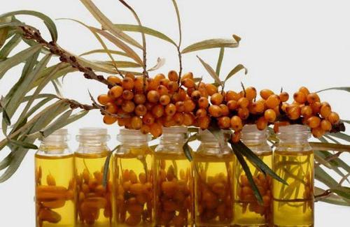 proprietà terapeutiche dell'olio di olivello spinoso