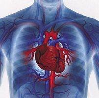 како узимати кардиомагил