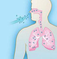 Lasolvan за инхалация
