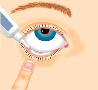 istruzioni per gli occhi unguento tetraciclina