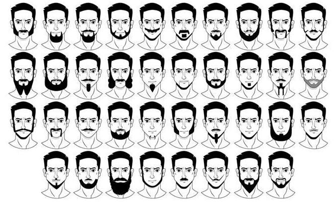 vrste moških brad