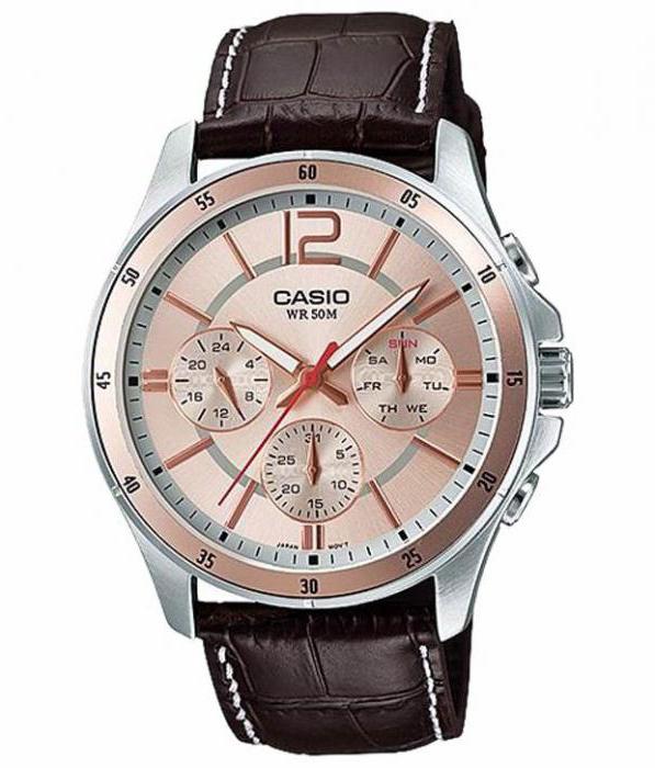 Casio pánské hodinky