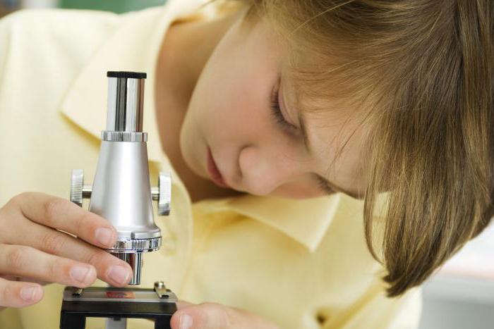 mikroskop dla ucznia