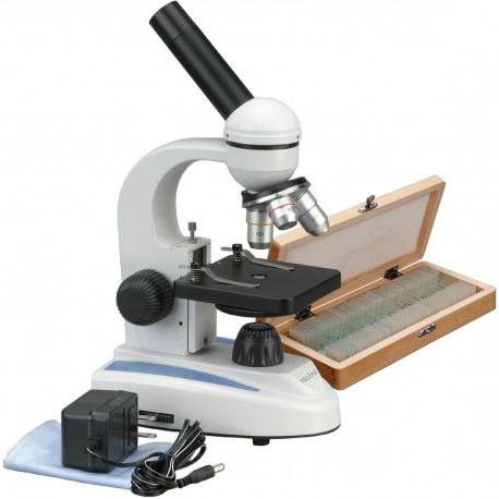 mikroskop świetlny