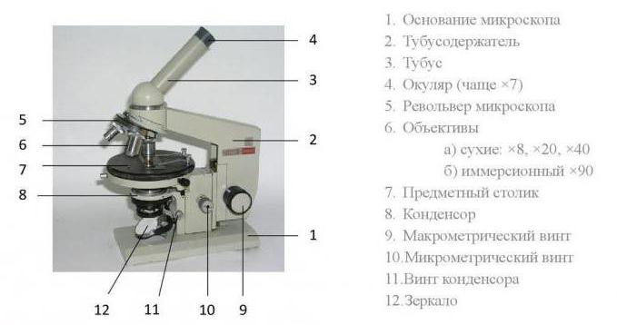 microscopio scolastico