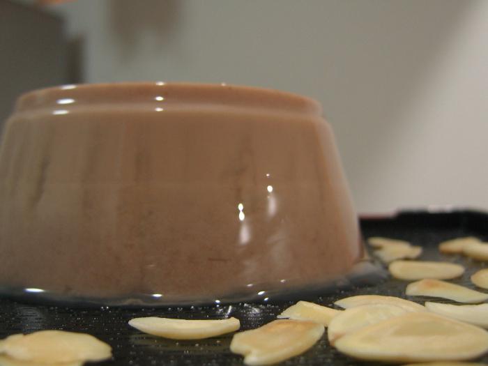 recept mlečnega želeja s kakavom