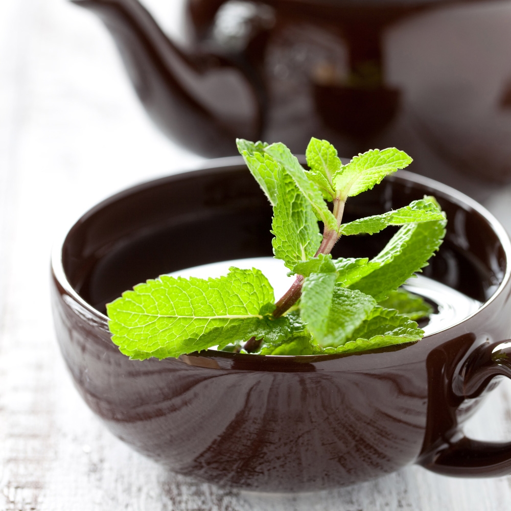 benefici e danni al tè alla menta