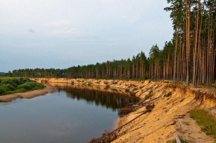 fiume mologa regione di Tver