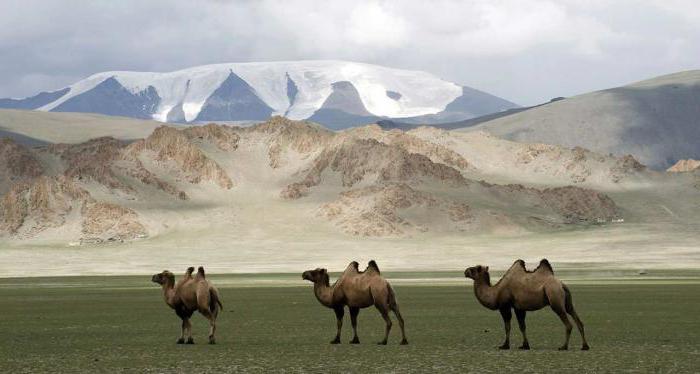Население на Монголия