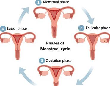 ko menstruacija začne po porodu