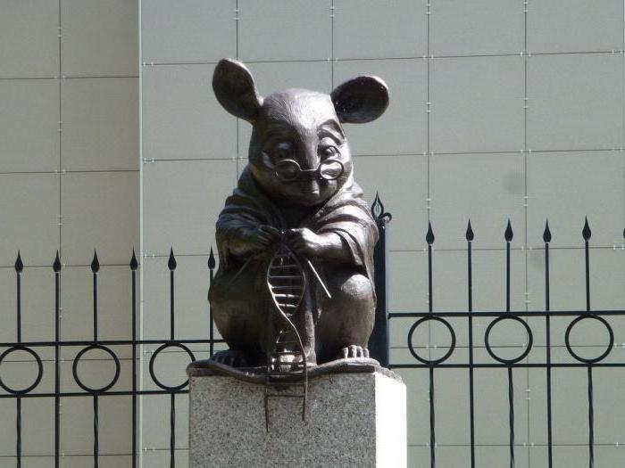 monumento del mouse da laboratorio novosibirsk
