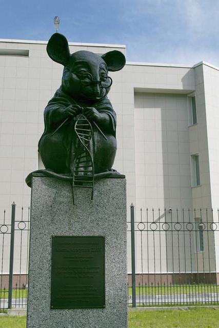 pomnik opisowej myszy laboratoryjnej