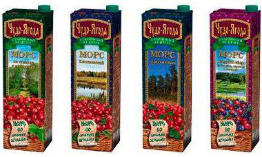 mors miracle berry maker