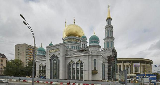 Снимка на джамията от катедралата на Москва