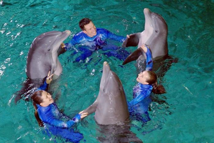 Най-големият делфинариум в Москва