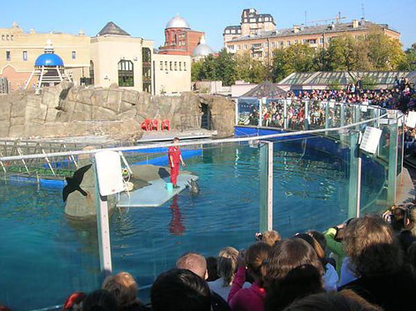 Dolphinarium mobile di Mosca
