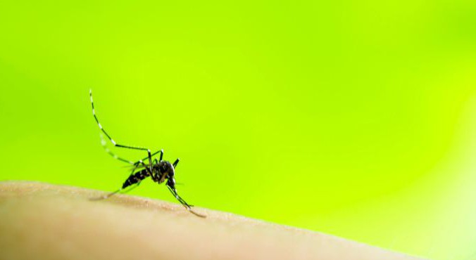 репеленти против комараца