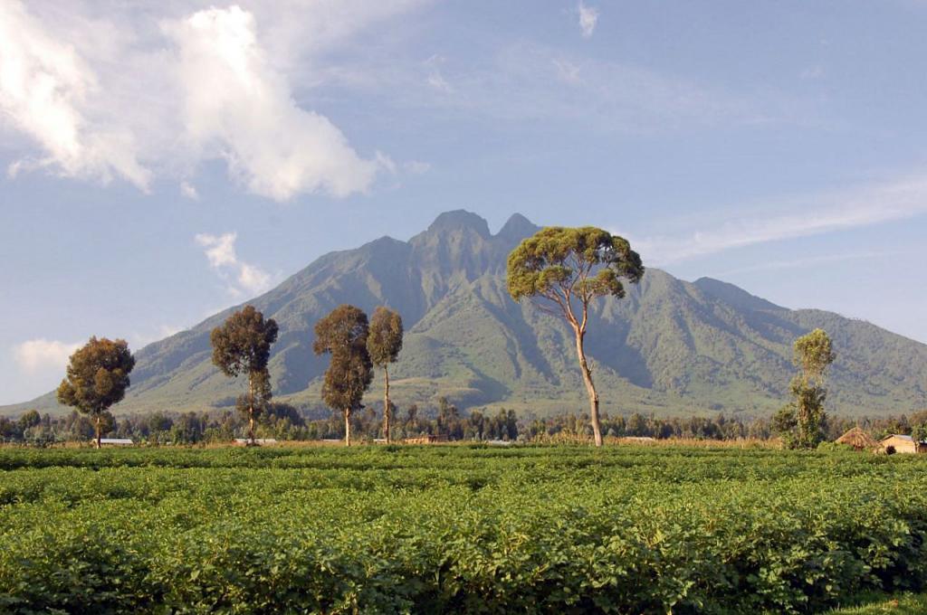 Monti Virunga