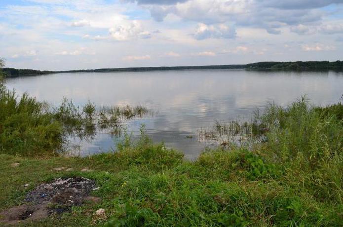 Vodní nádrž Mozhayskoye se stany