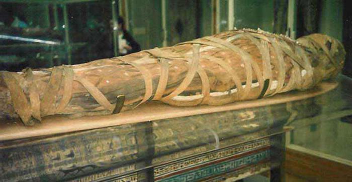 ramses ii mummia