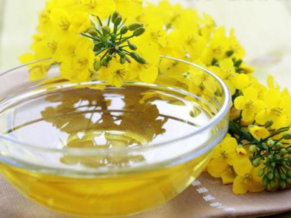 recensioni utili e controindicazioni di olio di senape