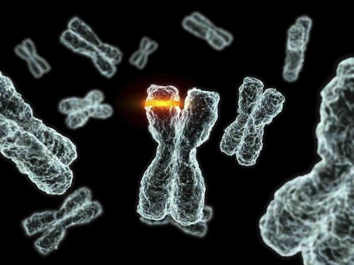 mutazioni cromosomiche questo