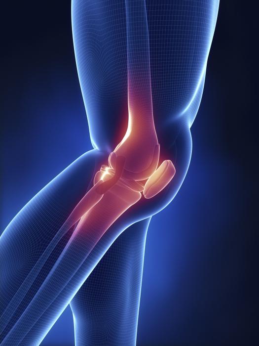 klikovi i bolovi u zglobovima koljena