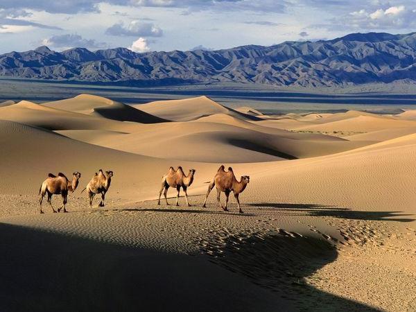 Pustinja Gobi