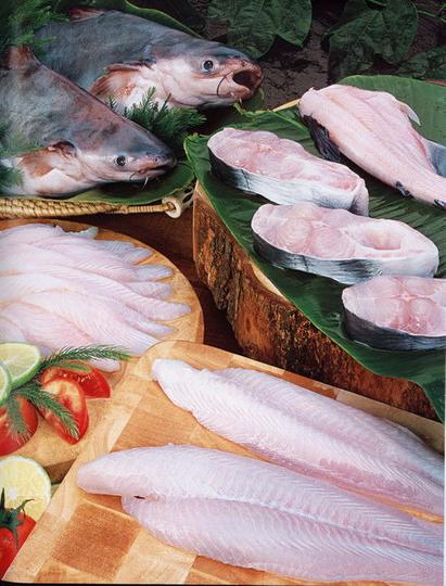 jak vařit ryby pangasius