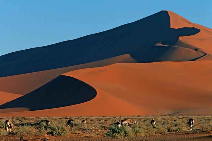 Namibska puščava