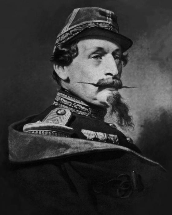 Napoleon II. Sin cesarja