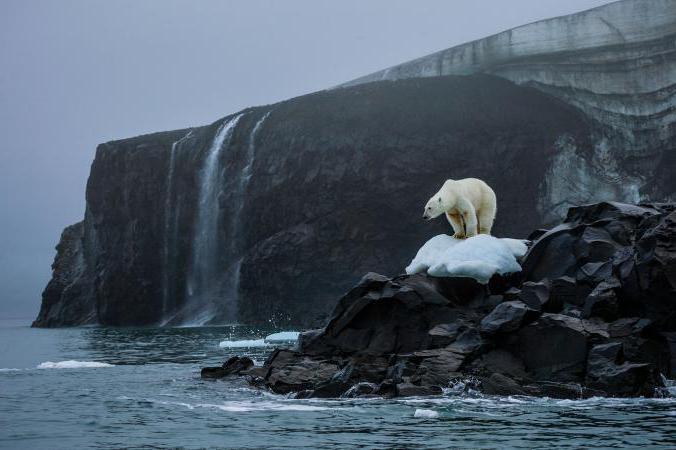 Руски национален парк Арктика