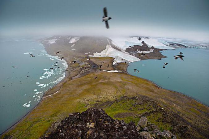 fgbu Национален парк руски Арктика