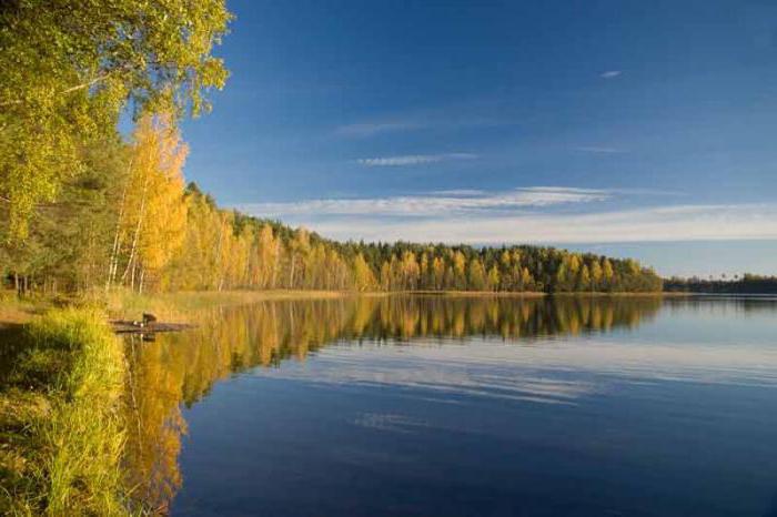 Fotografija nacionalnega parka Smolensk Lakeland