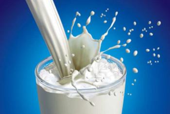 složení plnotučného mléka