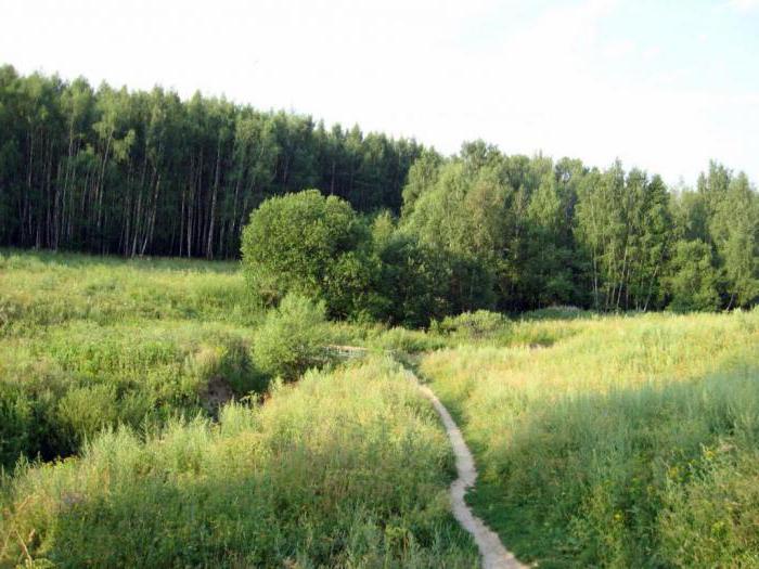 eco centro foresta Bitsevsky