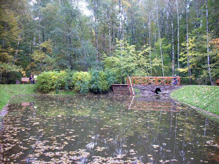 Парк Bitsevsky Forest в Москва