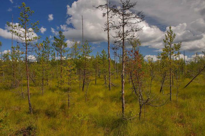Разноликост природе Лењинградске регије