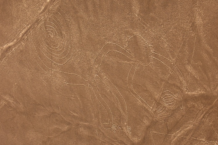Nazca linky a geoglyfy