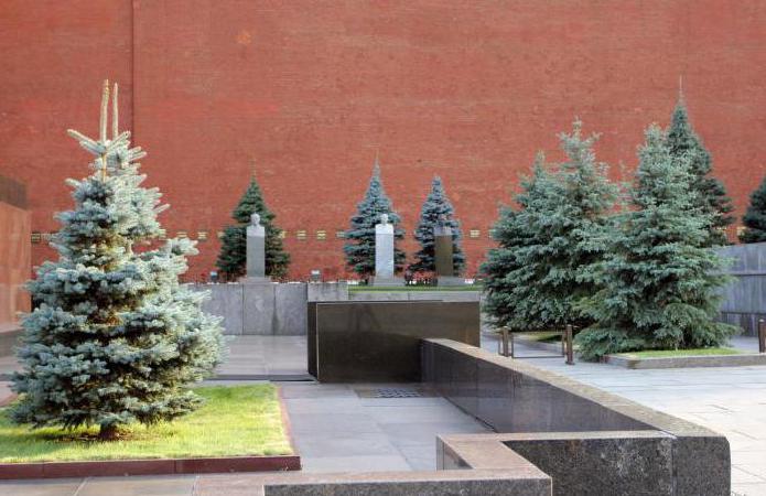 Kremlinská nekropole