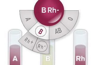 badanie krwi na czynnik Rh