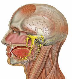 невралгия на лицевия нерв