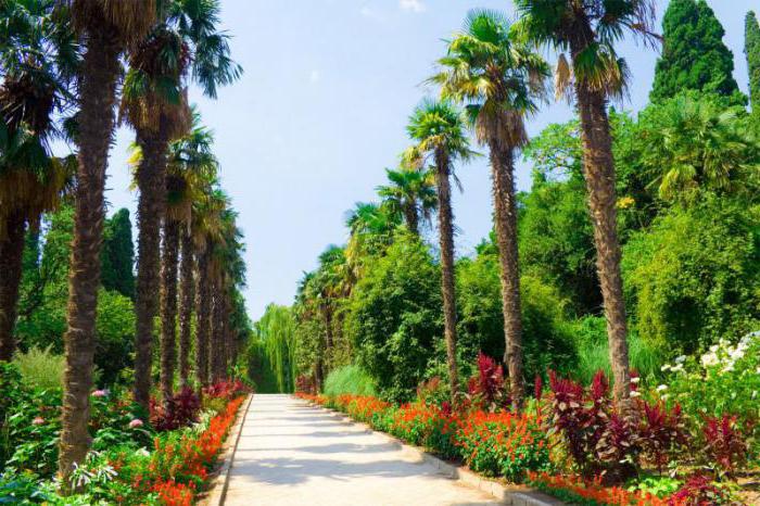 Giardino botanico nella descrizione di Yalta