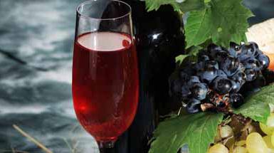 preglede brezalkoholnih vin