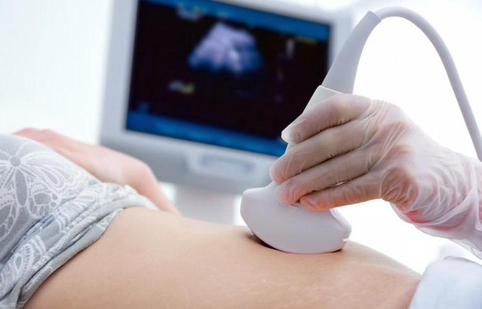 velikost sleziny ultrazvukem