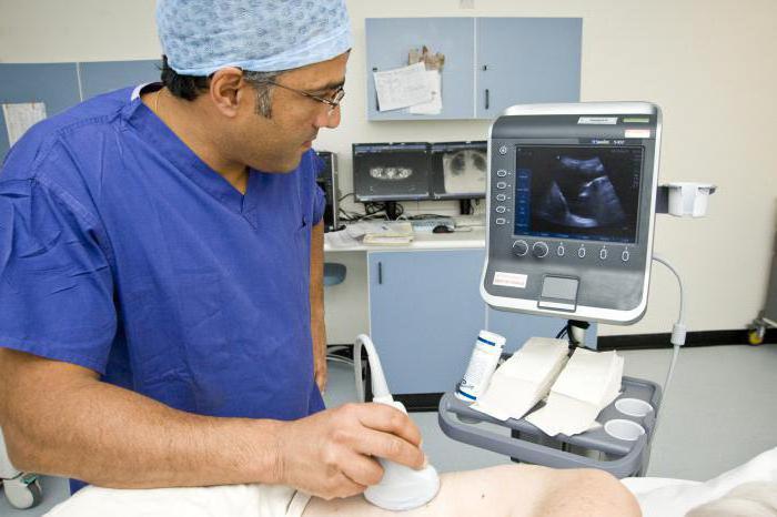 norma velikosti vranice z ultrazvokom