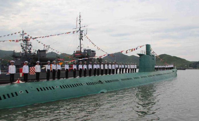 severní korejské námořní síly