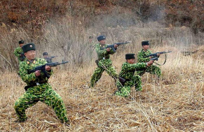 поређење војске северне и јужне Кореје
